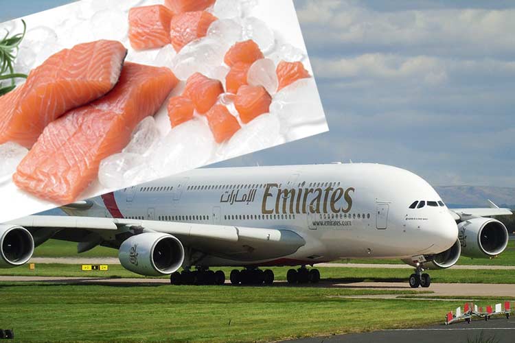 Emirates frakter norsk laks til Thailand tre dager i uka nå.