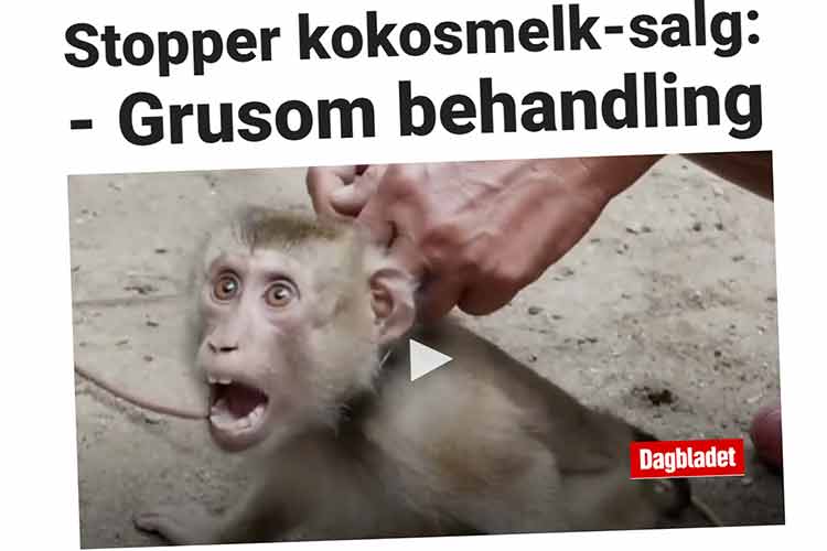 Dagbladet kaster seg på apebølgen – dyremishandling tilbakevises