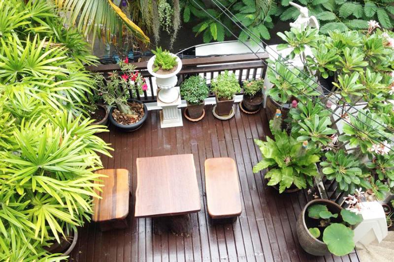 Bruk terrassen hvis du mangler en egnet hageflekk. Plantene som sees her trives i sollys.