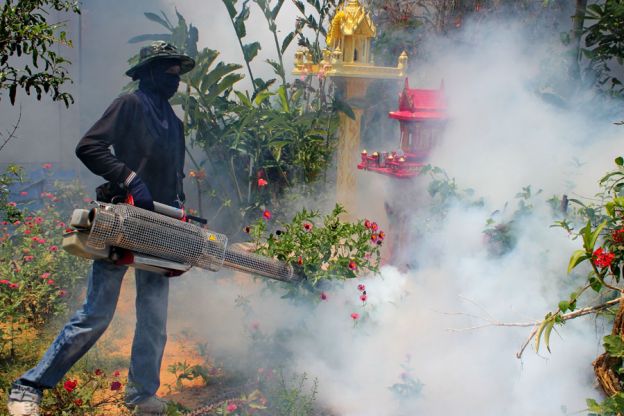 Vinner Thailand kampen mot myggen?