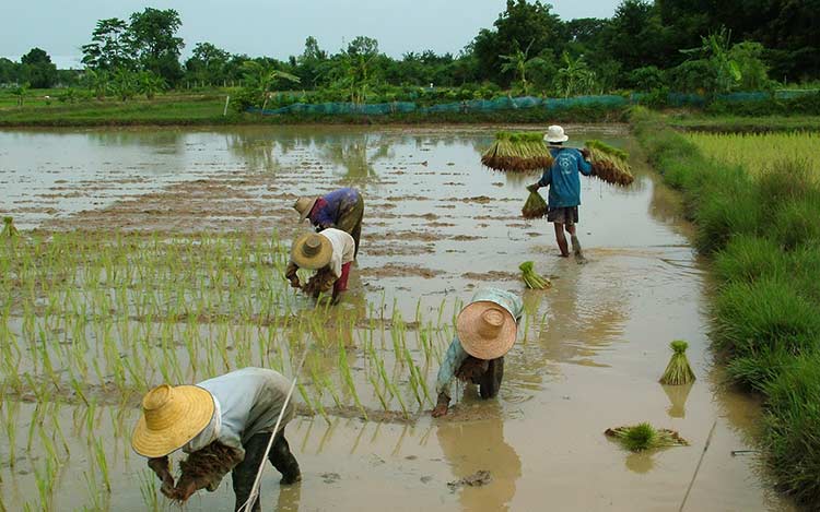 Thailands Tidende