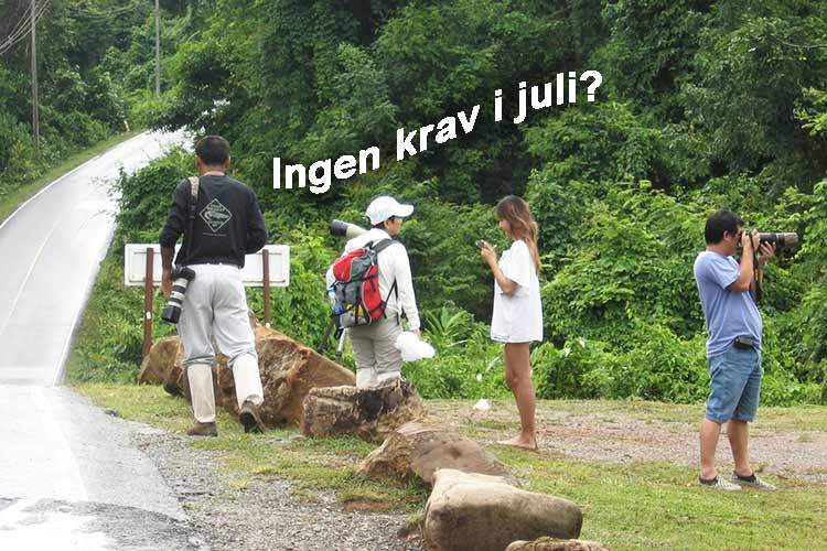 Når vil utlendinger igjen flokke til nasjonalparken Khao Yai?