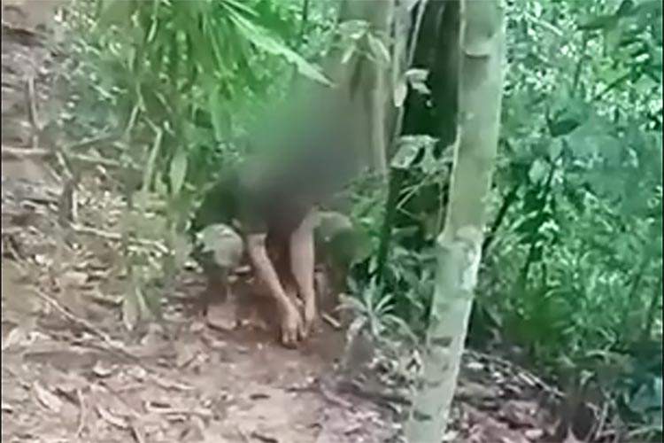 Fra minerydding i Sisaket